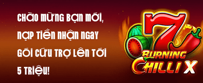 Hoàn Trả VIP Không Giới Hạn promotion banner